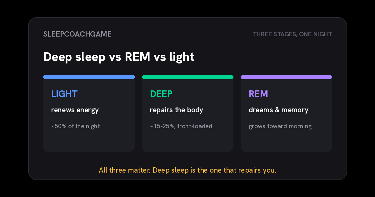 Three columns comparing sleep stages: light sleep renews energy at about half the night, deep sleep repairs the body at 15 to 25 percent front-loaded early, and REM handles dreams and memory and grows toward morning.