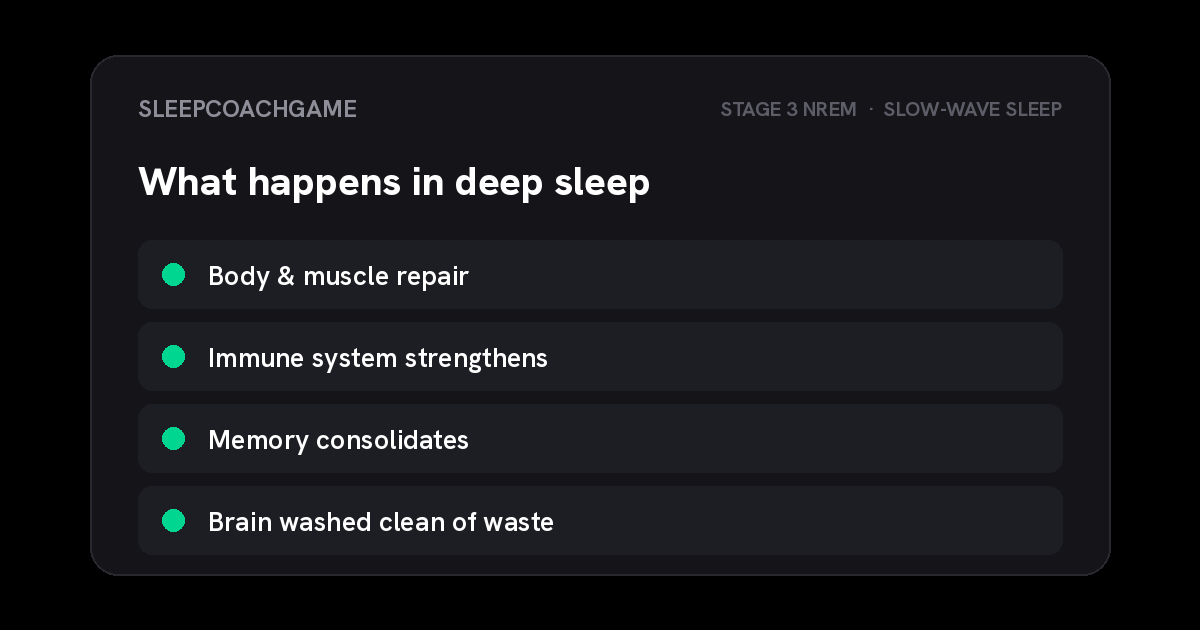 Four restorative processes that happen during deep sleep, Stage 3 NREM slow-wave sleep: body and muscle repair, immune system strengthening, memory consolidation, and the brain being washed clean of waste.