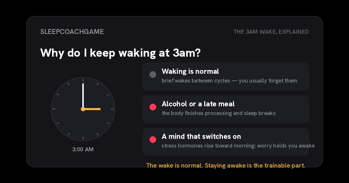 A clock at 3am beside three causes of waking: brief wakes between cycles are normal, alcohol or a late meal breaks up sleep, and a mind that switches on as stress hormones rise toward morning, with staying awake marked as the trainable part.